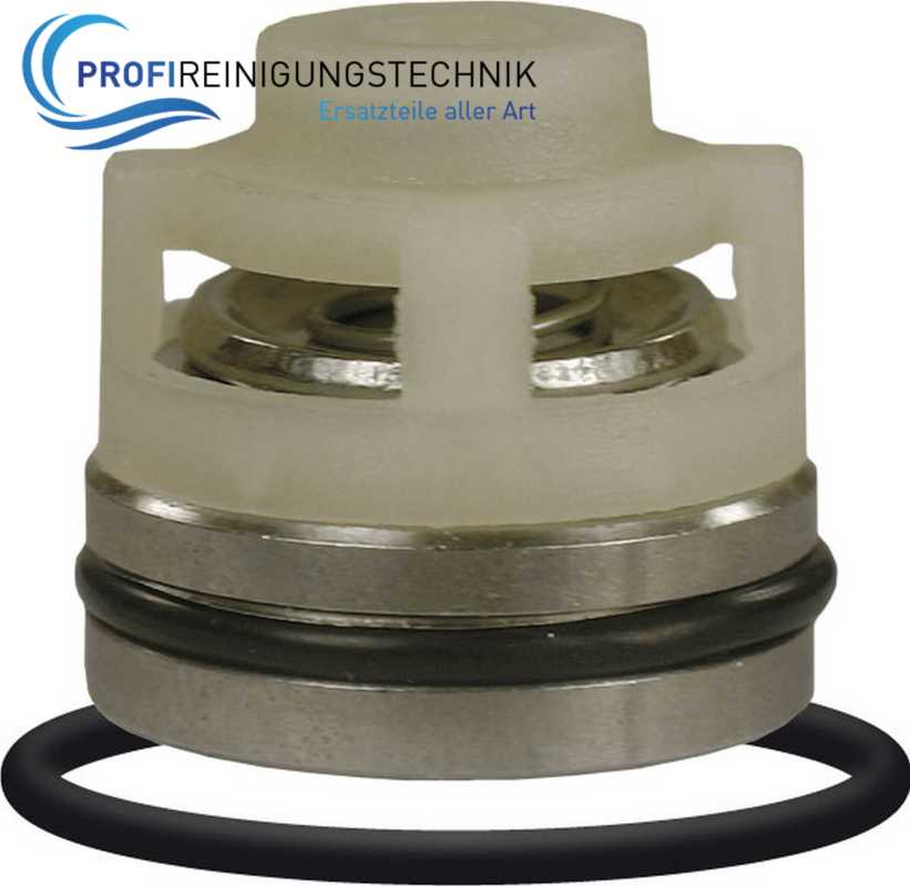 Ventile 6 Stück passend für Speck Hochdruckpumpe P21 / 16 - 200